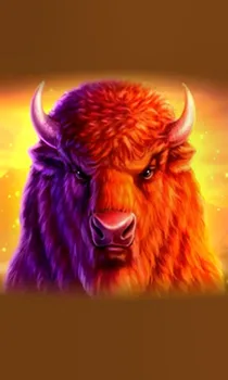 Buffalo 50