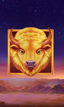 Buffalo's Sun